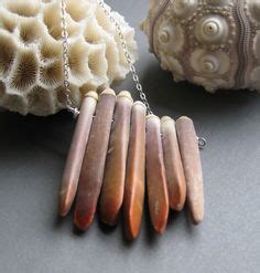 350 Echinoids:-Sea Urchins & Sand Dollars ideas | urchin, sea, sea shells