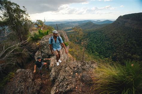 The Best Gold Coast Hinterland Hiking Trails To Explore | Queensland