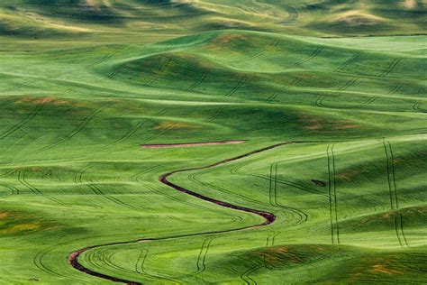 Rolling Hills of the Palouse