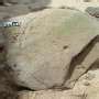Fossilized circles in the sand on South Africa's coast may be artwork by our early ancestors