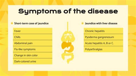 Adult Jaundice: Causes & Symptoms | Google Slides & PPT