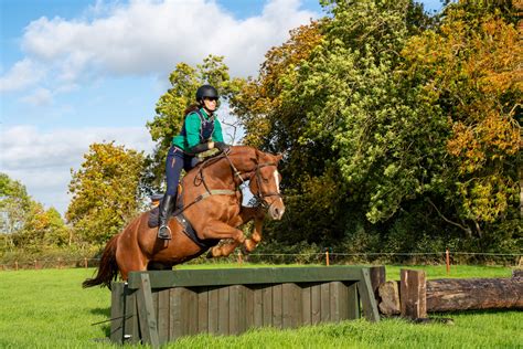 Tipperary Cross Country | Horse Riding Holidays in Ireland | Globetrotting