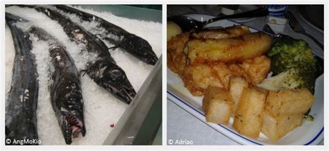 Black Scabbardfish | British Sea Fishing