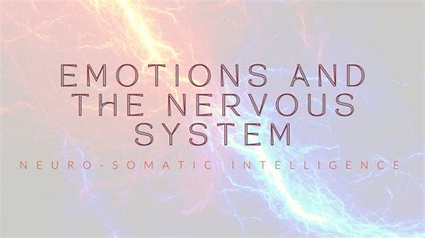 Emotions and Your Nervous System | Neuro Somatic Intelligence | NSIC