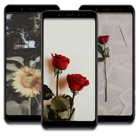 Aesthetic Flower Wallpaper HDI - Apps on Google Play