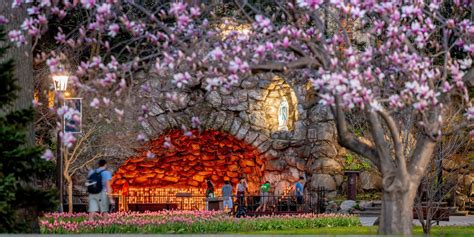 Amazing Photo From The Grotto At Notre Dame - Live One Good Life