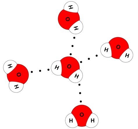 two water molecules