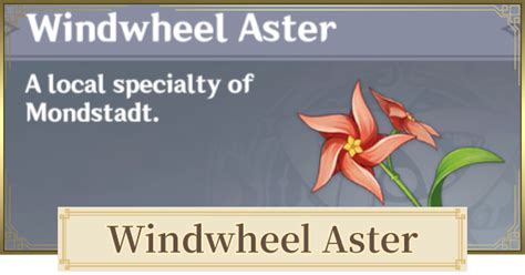 Windwheel Aster Location & Farming Route | Genshin Impact - GameWith