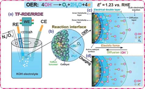 Schematic illustration of the electrocatalytic OER in alkaline media ...