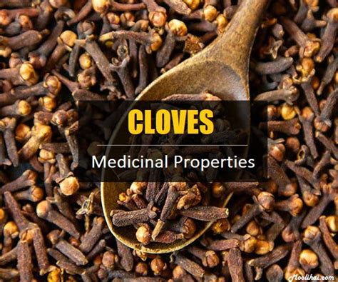 Cloves (Lavanga) : Health Benefits, Nutrition, & Side Effects - Moolihai