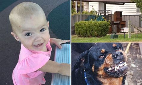 Pictured baby one killed Rottweiler dog attack NSW Kamillah Jones ...