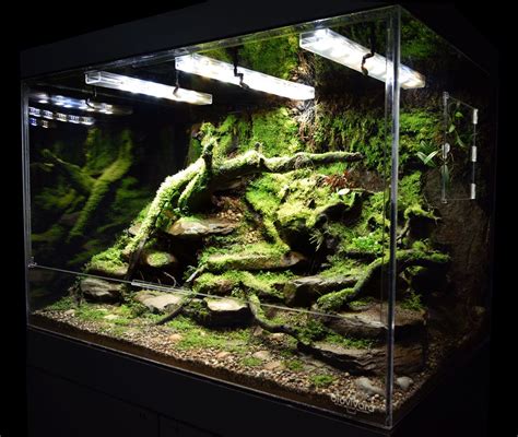 Custom naturalistic stream bank vivarium design by BioVivara. Naturalistic enclosures are more ...