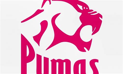 Pumas announce new title sponsor for 2021 to 2023 seasons | Middelburg ...