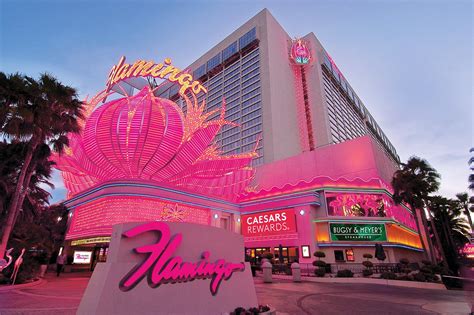 Flamingo Las Vegas Hotel & Casino (C̶$̶4̶5̶) C$23 - UPDATED 2022 Prices ...