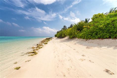 Awesome Beach of Maldives. White Sand and Turquoise Waters Stock Image ...