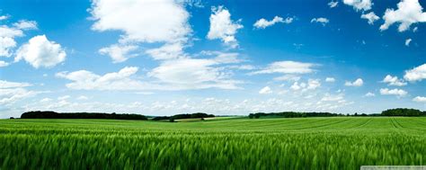 Green Field Wallpapers - Wallpaper Cave