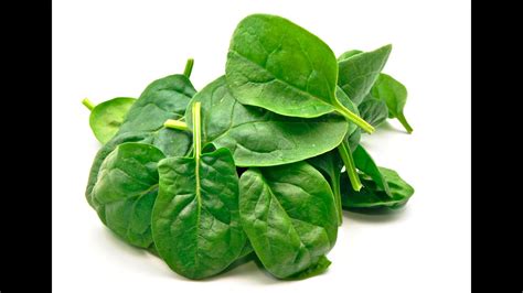 Super Food: Spinach has many vitamins & nutrients - YouTube