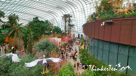 Singapore Garden By the Bay - Flower Dome vs Cloud Forest Dome