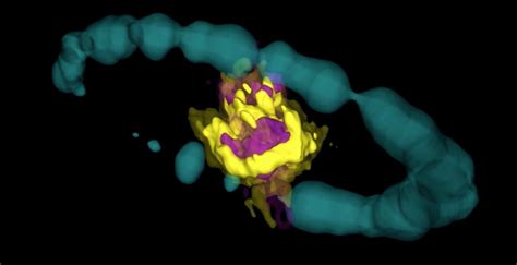 Probing Molecules in Supernova Remnants — Science Website