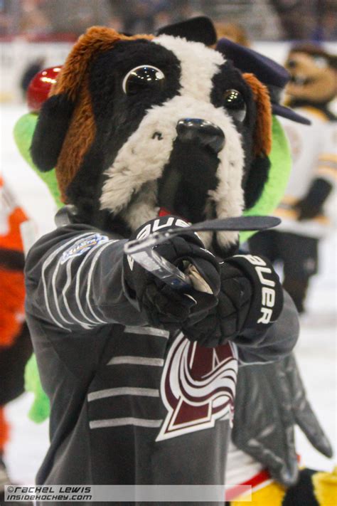 Colorado Avalanche Mascot Plush : Bernie The Dog St Bernard Colorado Avalanche Mascot Costume ...