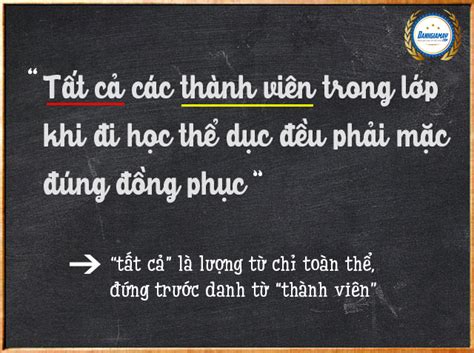 Lượng từ là gì? Số từ là gì? Ví dụ về số từ và lượng từ