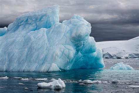 Blue Iceberg, Cierva Cove, Antarctica by William Neill - Susan Spiritus Gallery