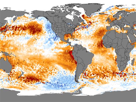 Current Ocean Temperature Map - Alanna Leontyne