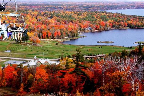 Fall Colours Chairlift Rides