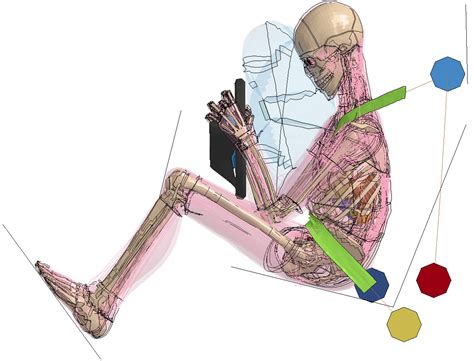 Virtual human-body models supplement crash-test dummies