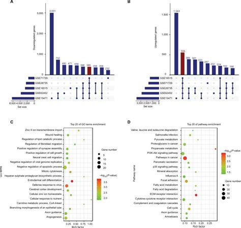 DEGs in five GEO datasets. Notes: The figure shows 389 downregulated... | Download Scientific ...