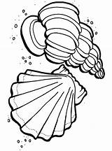 Free Printable Ocean Coloring Pages For Kids sketch template