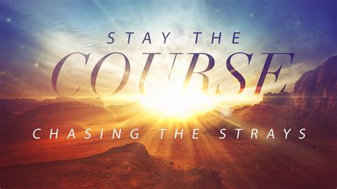 Stay the Course: Chasing the Strays – Beltline Church of Christ