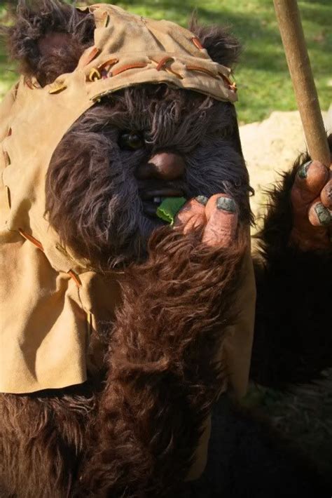 my finished Wicket (Ewok) costume : D - LOTS of PICTURES - | Ewok, Ewok costume, Wicket ewok