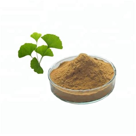 Ginkgo Biloba Extract - Ginkgo Biloba Extract Supplier and Manufacturer in China, Buy Ginkgo ...