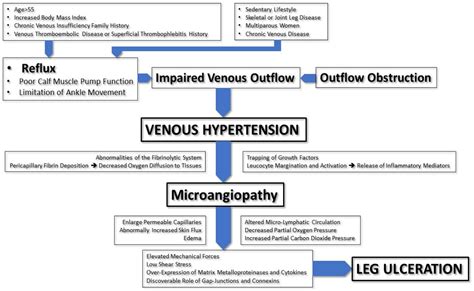 Venous Ulcers | Encyclopedia MDPI