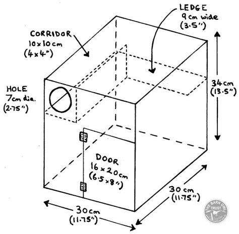 Little Owl nestboxes - The Barn Owl Trust