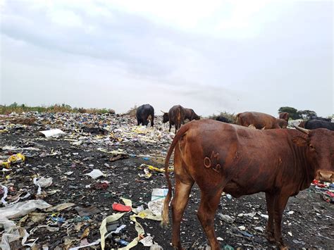 Heilbron vat hande om waterbesoedeling te beveg | Netwerk24