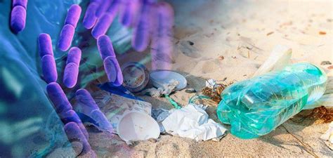 Huge Discovery: Bacterium that 'Eats' Plastic Waste | Plastic waste, Bacteria, Recycling plant