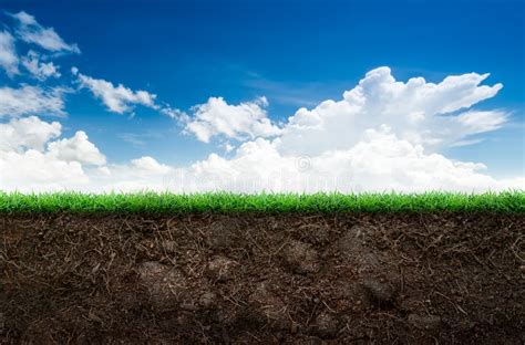 Soil and grass in blue sky stock image. Image of lush - 44429963