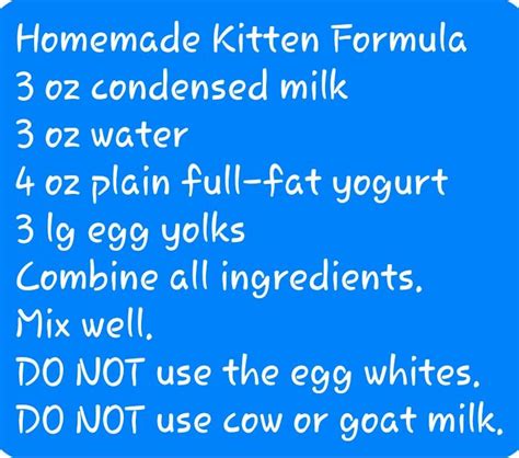 Homemade Kitten Formula | Kitten formula, Kitten formula recipe, Kitten care