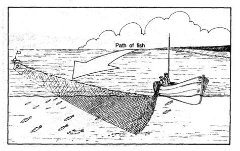 Operation of a drift net | Download Scientific Diagram