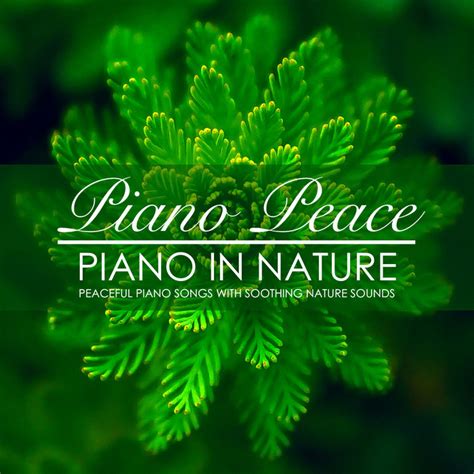 Piano in Nature | Piano Peace