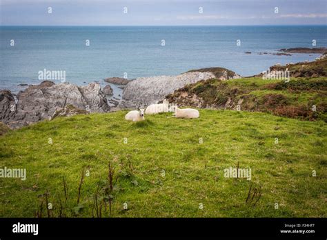 Bull point north devon devon hi-res stock photography and images - Alamy