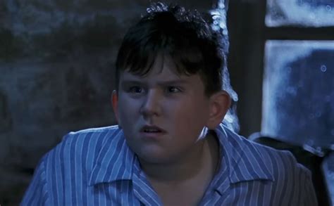 He Played 'Dudley Dursley' in Harry Potter. See Harry Melling Now at 33 ...