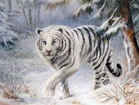 White Tiger Painting by Sharon Weaver