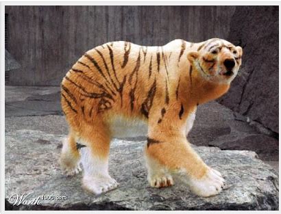 something new: merged animals