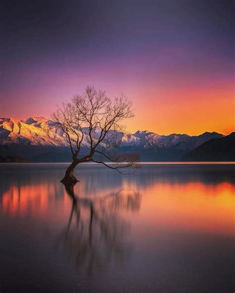 The Wanaka Tree - Lake Wanaka. Photo by @nzstevephotography instagram | Landscape photography ...