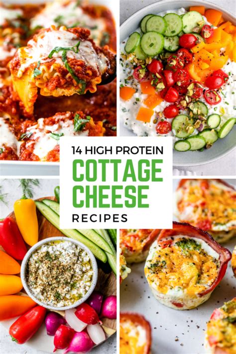 14 High Protein Cottage Cheese Recipes – Nature's Gateway