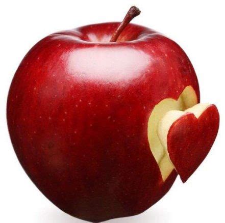 100pcs Red Apple Tree Seeds - BestSeedsOnline.com - Free Shipping Worldwide