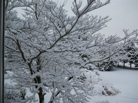 Michigan winter wonderland : r/meteorology